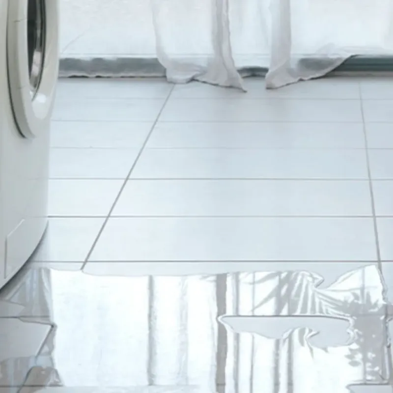 Appliance Leak Cleanup in West Columbia, TX